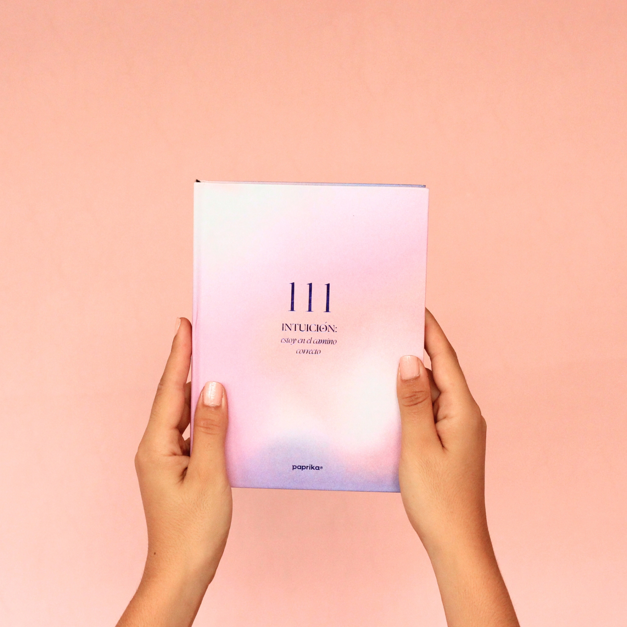 JOURNAL 111