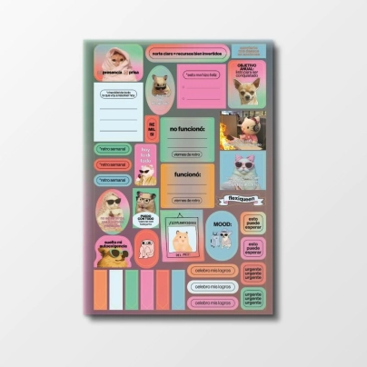 STICKERS A5 PLANNING FUNCIONALES Y MEMES